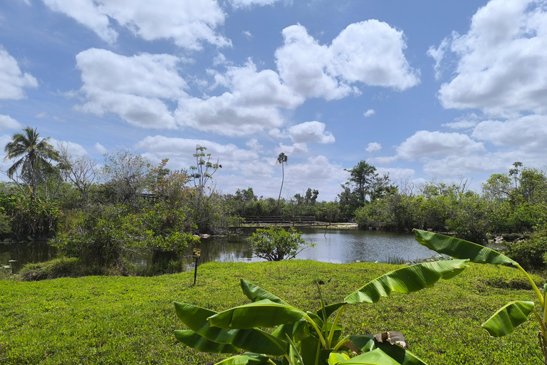 Miami: Everglades Small Group Tour in French Miami: Guided Everglades Tour in a Small Group in French