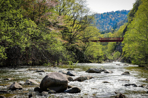 Hokkaido 1-Day Tour: Mt. Showa, Lake Toya & Noboribetsu