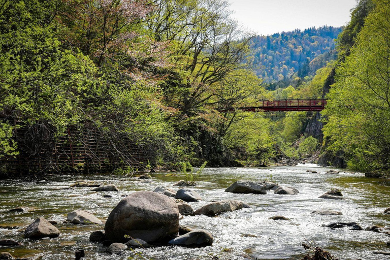 Hokkaido 1-Day Tour: Mt. Showa, Lake Toya & Noboribetsu