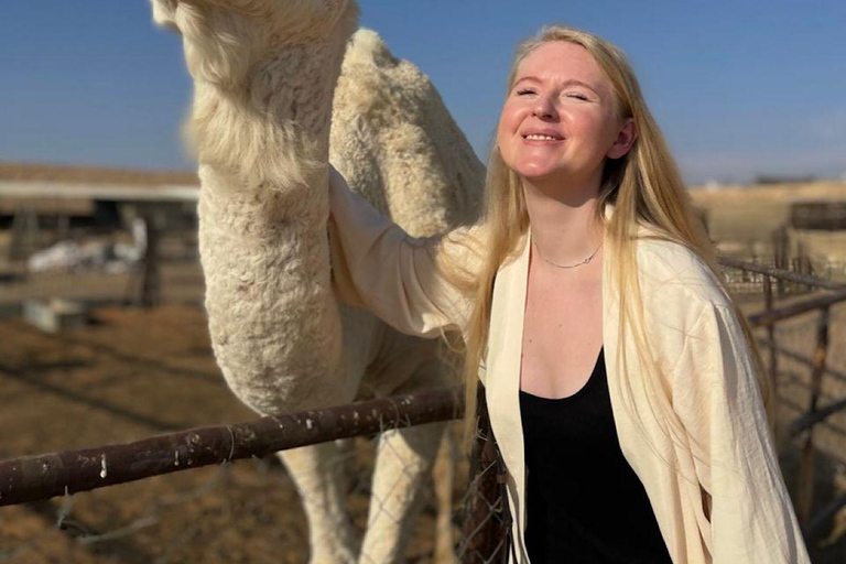 Riyadh: Edge of the World Tour with Snacks and Coffee