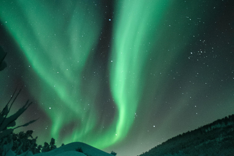 Levi: E-Fatbike Adventure to Find the Northern Lights