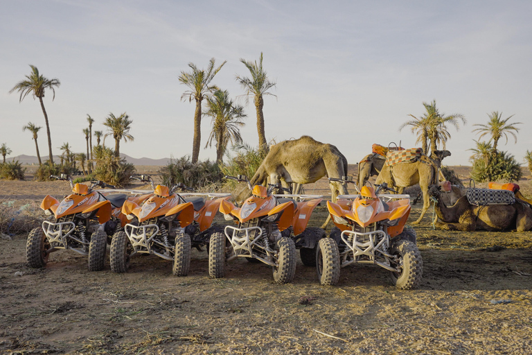 Excursion en quad dans le désert et à dos de dromadaire. Déjeuner ou dîner