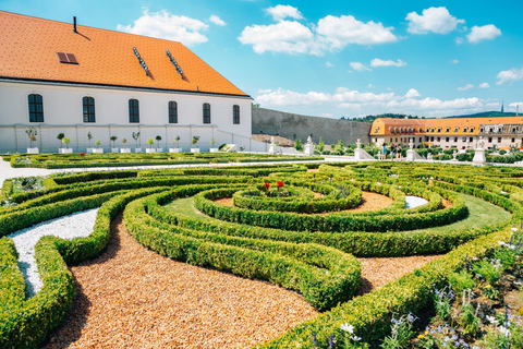 Slovakiska nationalmuseet med Bratislava slott Privat tur