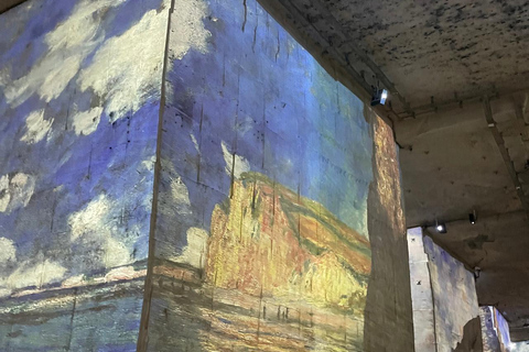 Private tour of the Alpilles: Saint-Rémy-de-Provence & Les Baux-de-Provence