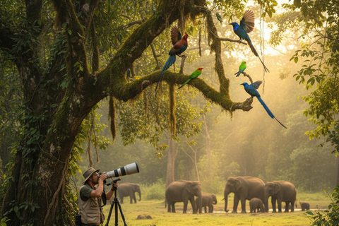 Professional Wildlife & Birdwatching Expedition – Minneriya