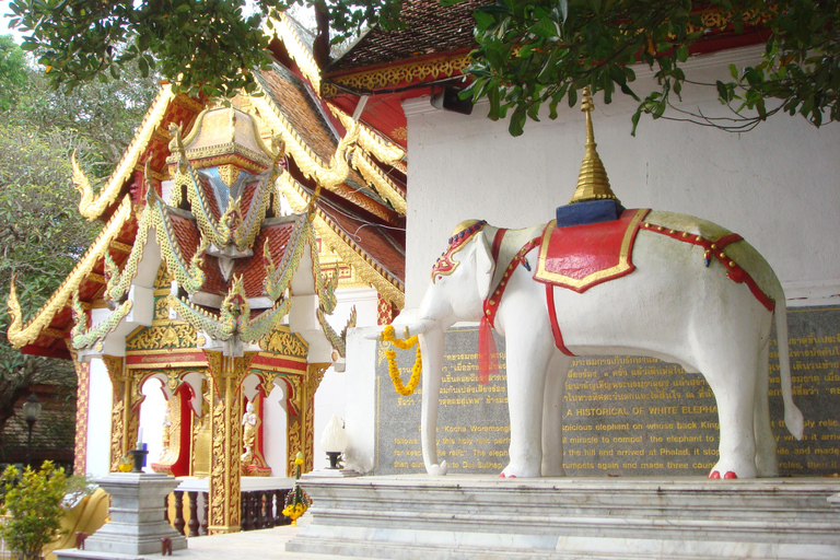 Chiang Mai: półdniowa wycieczka do Doi Suthep i wioski Hmong