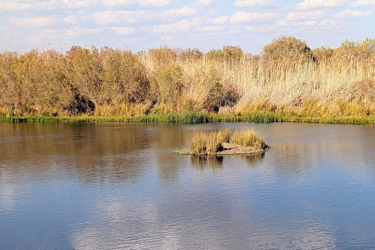 Amman: Azraq Wetland+ Lawrence Fortress + Druze Family Lunch