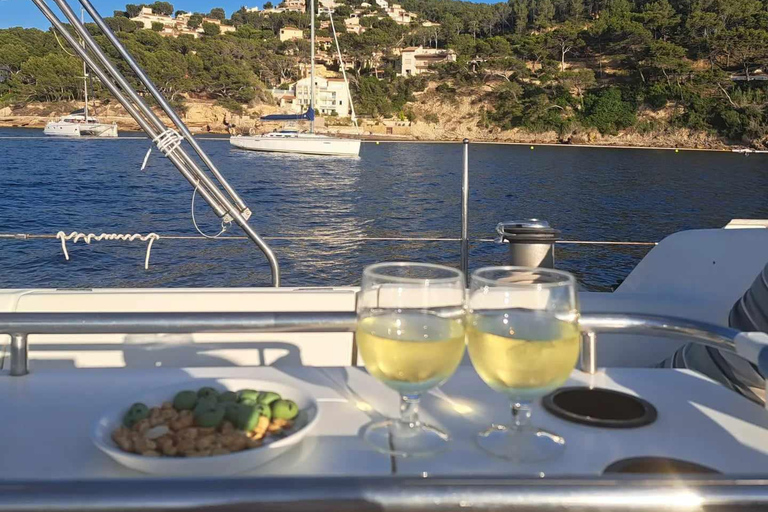 Sète: Sailing trip at sea on a sailboat Half-Day Sailing Experience