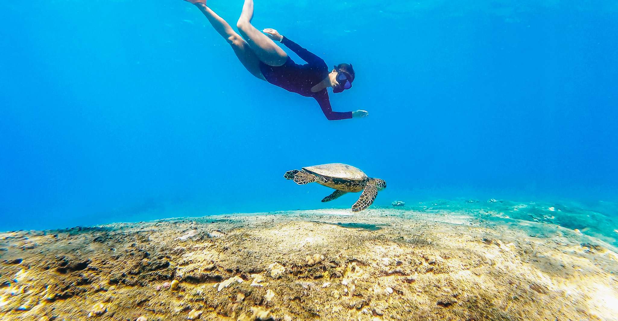 San Juan, tour di nuoto e snorkeling con tartarughe - Hizvo