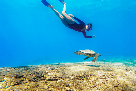 Puerto Rico: Snorkeling with Turtles Adventure