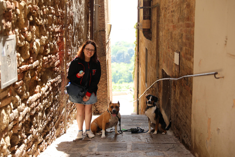 Toscane dagtrip &amp; wijnmakerij vanuit Florence