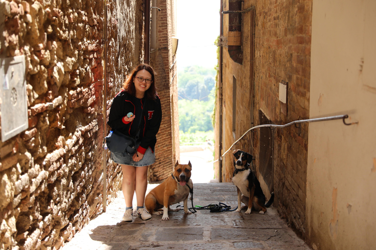 Tuscany day trip &amp; Vinery from Florence