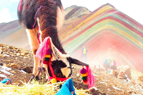 Från Cuzco: Privat tur till Rainbow Mountain Adventure