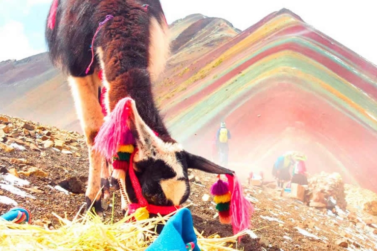 Depuis Cuzco : Aventure dans la montagne de l'arc-en-ciel (visite privée)
