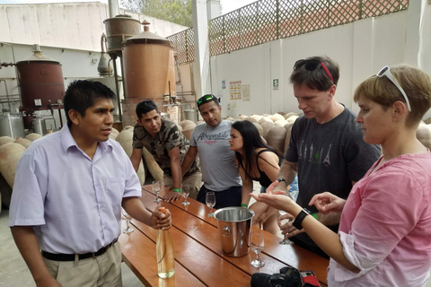 Pisco &amp; Wine Tasting Tour: Descobre a fascinante viagem do Pisco