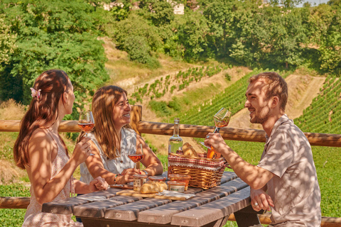 Saint-Emilion: Visita guidata alla cantina Grand Cru Classé e picnicGiro in francese