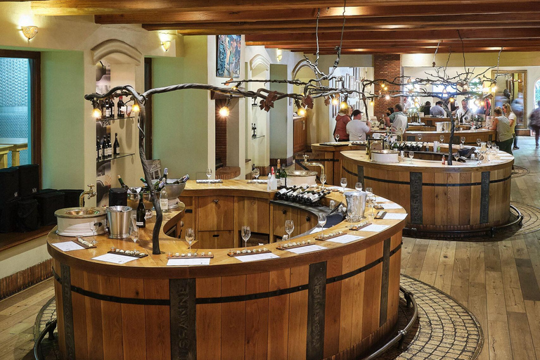 Cape Wineland 3 Award Winning Vineyards
