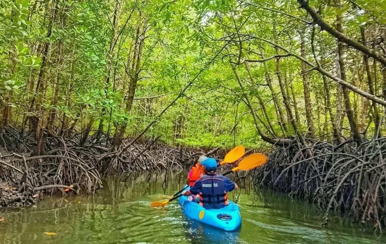 Ko Lanta: Kajakfahrt durch die Mangroven + lokales Mittagessen
