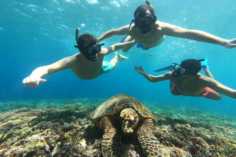 Gili island: 3 island tour with statue and turtle sanctuary sharing tour 9;30