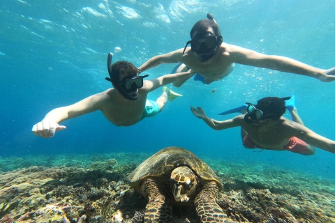 Snorkeling around 3 island & visit baby turtles