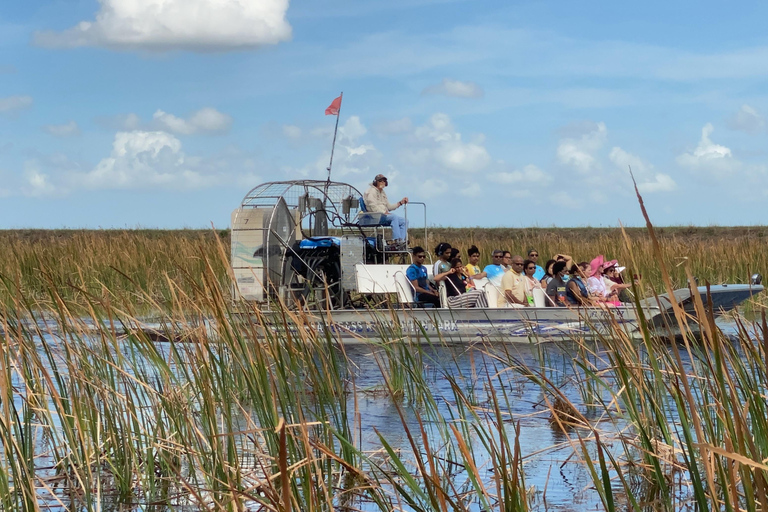 Miami: Everglades Airboat, Wildlife Show & Transfer Spanish