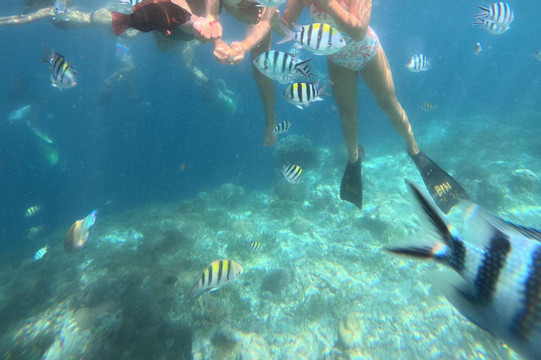 Gili Trawangan: Private 2-Hour Snorkeling Tour