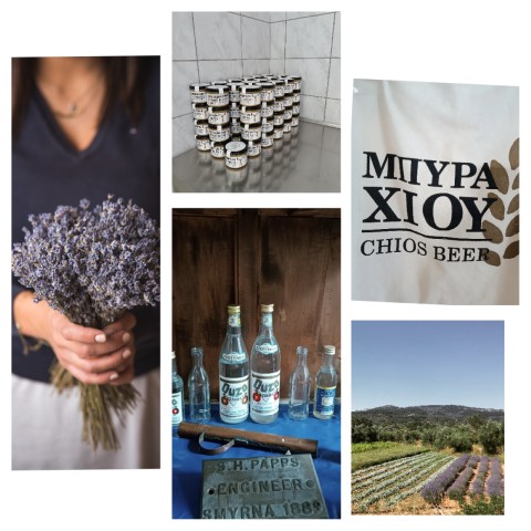 Visit Chios  Local products experience & tasting in Chios