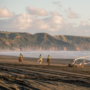 Muriwai Beach 2-Hour Horse Trek Experience Muriwai Beach 2-Hour Horse Trek Experience