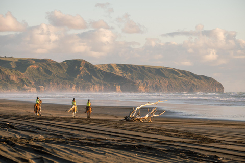 Muriwai Beach 2-Hour Horse Trek Experience