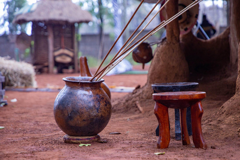Tour del Centro delle Giraffe, dell'Orfanotrofio degli Elefanti e di Bomas Nairobi