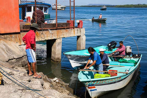 Puntarenas: Amazing Paradise Experience