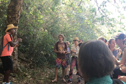 Mauritius nationalpark: Upptäck ön som den en gång var