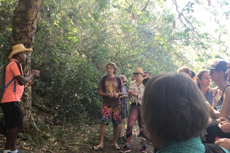 Mauritius nationalpark: Upptäck ön som den en gång var