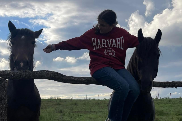 哈尼伊·克罗西特骑马之旅（含贝拉特接送服务）哈尼伊·克罗西特骑马游，贝拉特接送服务