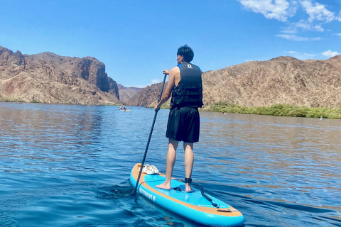 Plage de Willow : Location de paddle board