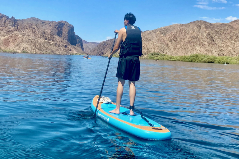 Plage de Willow : Location de paddle board