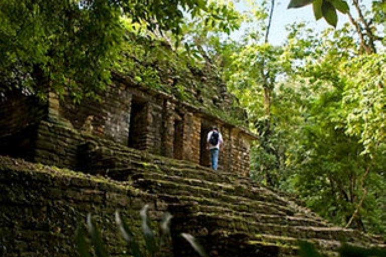 Palenque : Yaxchilán et Bonampak visite à la journée