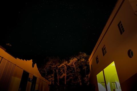 La Palma: Stargazing & Wine Tasting at Bodegas Teneguía