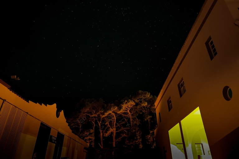 La Palma: Stargazing & Wine Tasting at Bodegas Teneguía