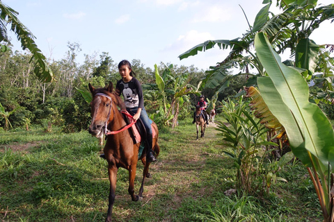 Phuket Jungle Horseback Ride with Scenic Forest Views Adventure Trail (2 Hrs)