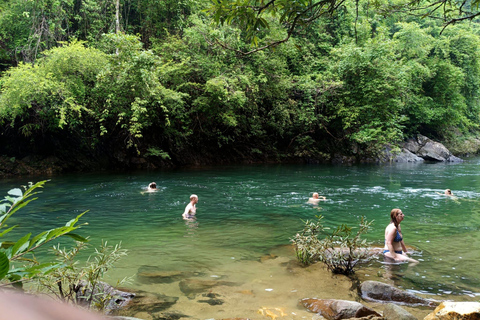 Khao Sok: Trekking privado de um dia, jantar na selva e safári noturno