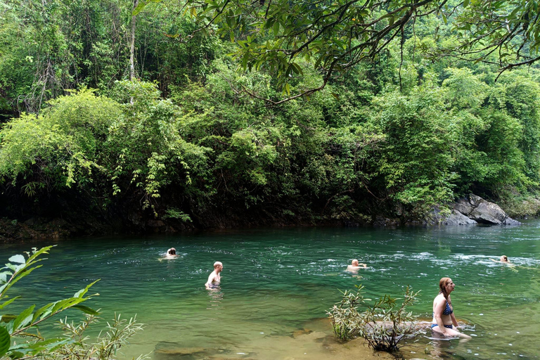 Khao Sok: Trekking privado de um dia, jantar na selva e safári noturno