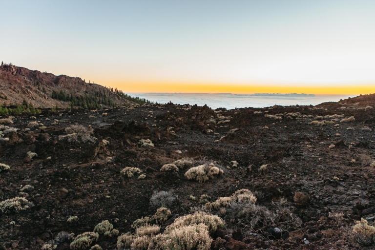 Teide: visite du coucher du soleil et de la nuit avec observation des étoiles et prise en chargePrise en charge depuis le sud de Tenerife
