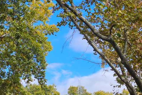 Mendoza Water Path tour