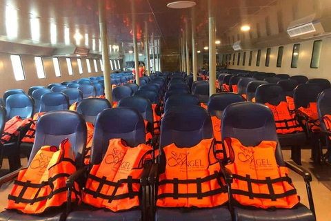 Phuket: Phi Phi Islands Day Tour by Ferry with Lunch Silver Seat