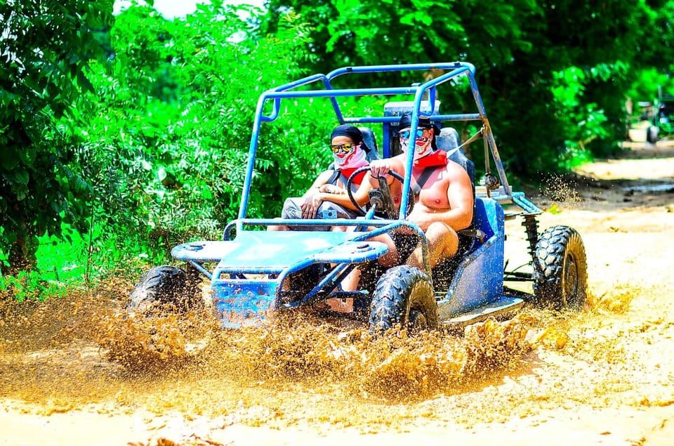 Buggy excursion online