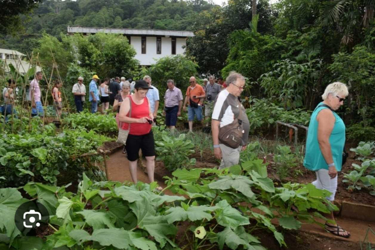 Kandy Top City Sights & Agro Tech Park Visit 4-Hours Tour Kandy Top City Sights visit -01
