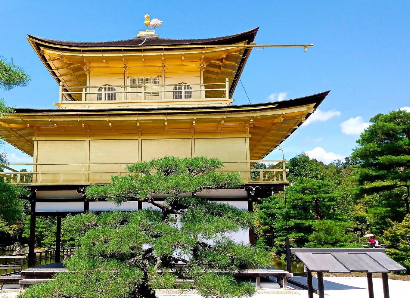 Fra Osaka/Kyoto: Kyoto og Nara 1-dags guidet tur