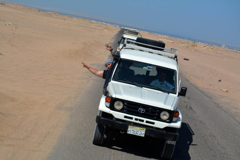 Hurghada: Quad Bike, Buggy, Jeep Safari, Camel Ride &amp; Dinnerpickup from hotels inside hurghada