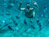 From Palau, La Maddalena Archipelago Catamaran Tour - Housity